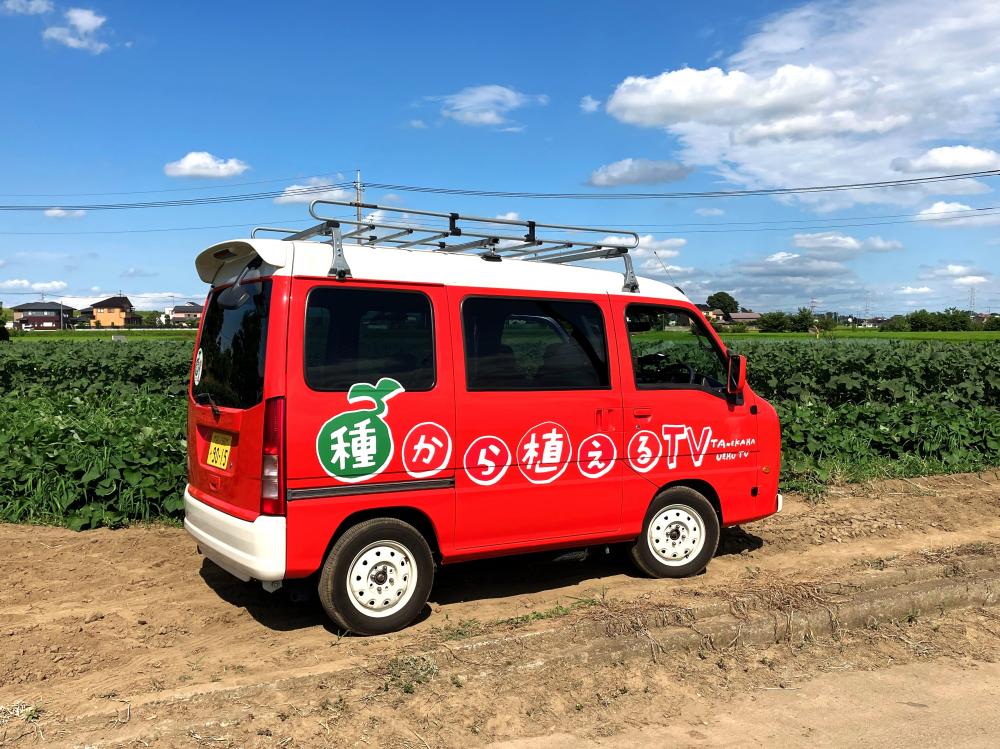 【TV紹介情報】五霞町産オクラ☆テレビ東京で紹介されますに関するページ